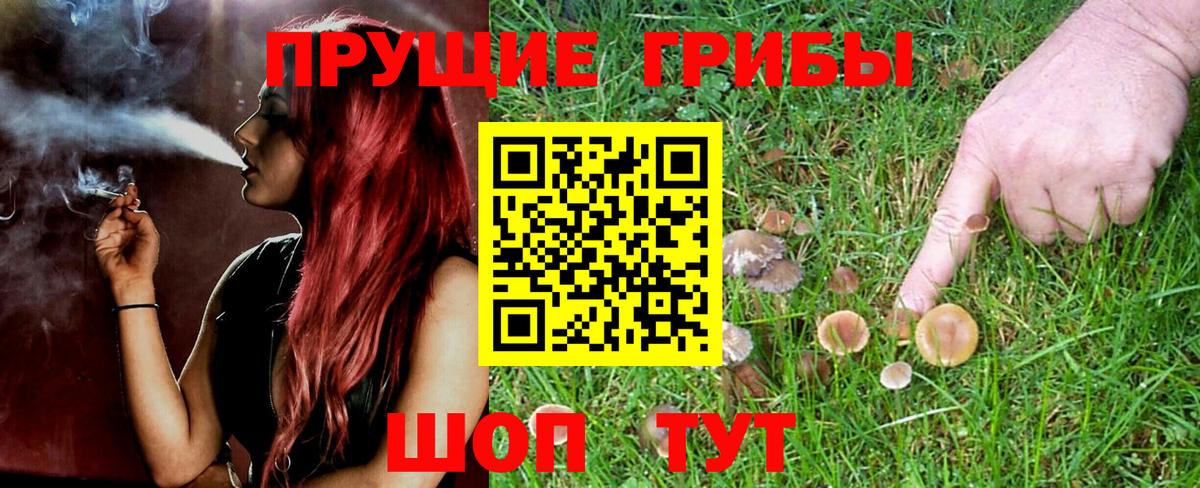 Белово  Псилоцибиновые грибы GOLDEN TEACHER  Вход с VPN  Галлюциногенные грибы Psilocybine cubensis 