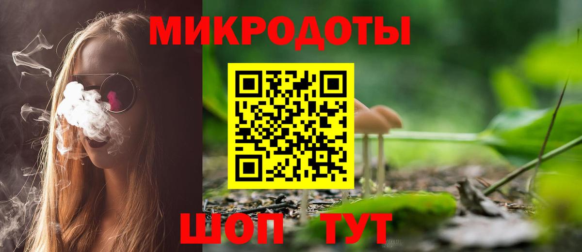 Псилоцибиновые грибы Psilocybe Белово